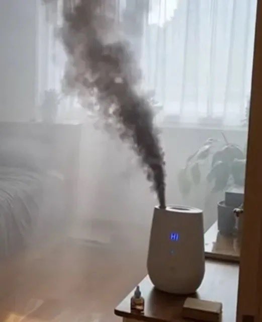 Danie Boutilier tweet media