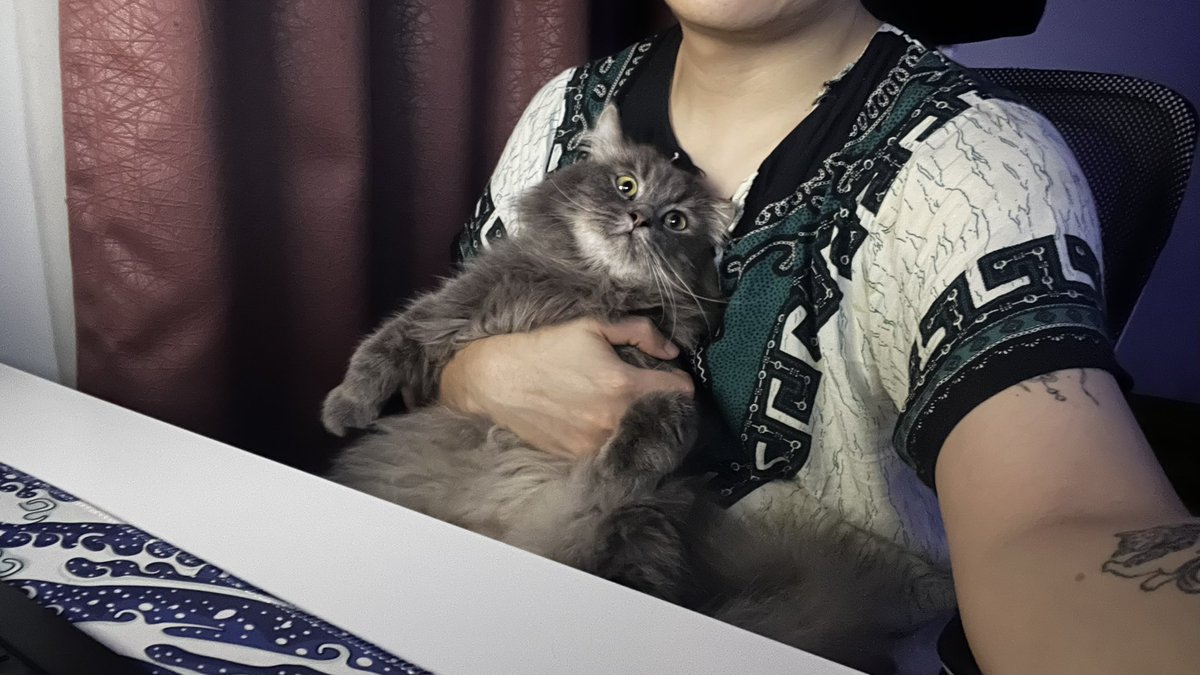 ptantank tweet media