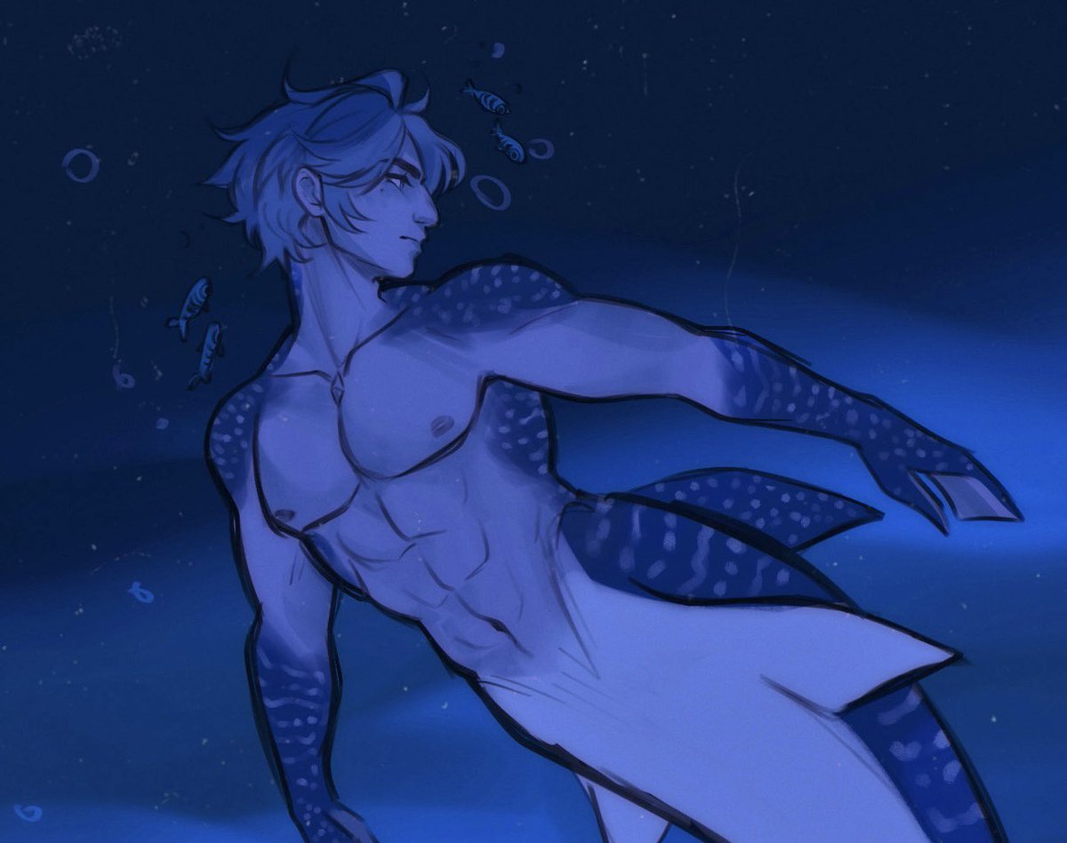 fisch 🎣 tweet media