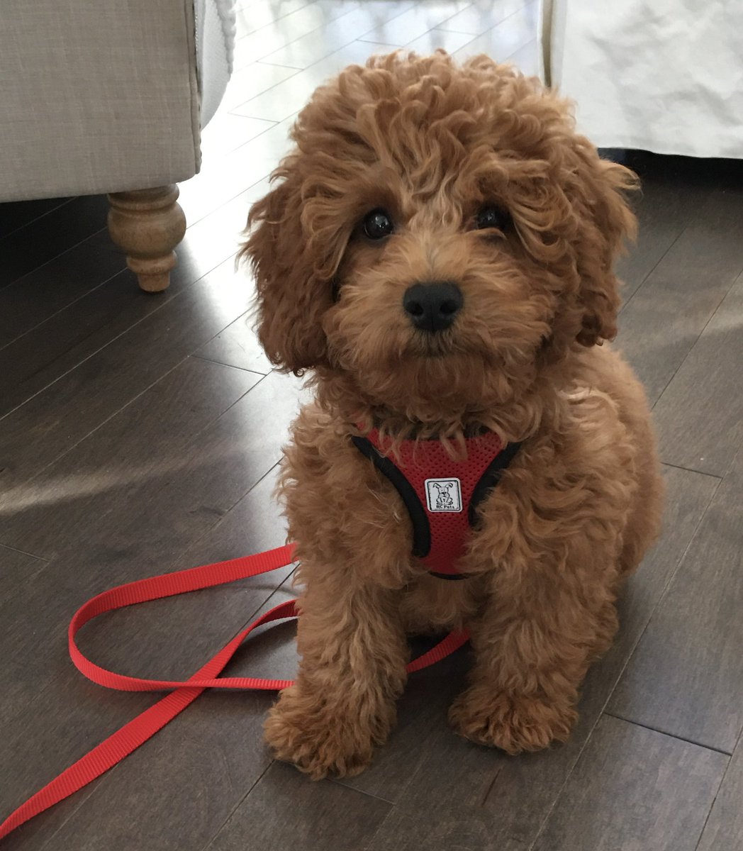 21LbsofHappyandMawm tweet media