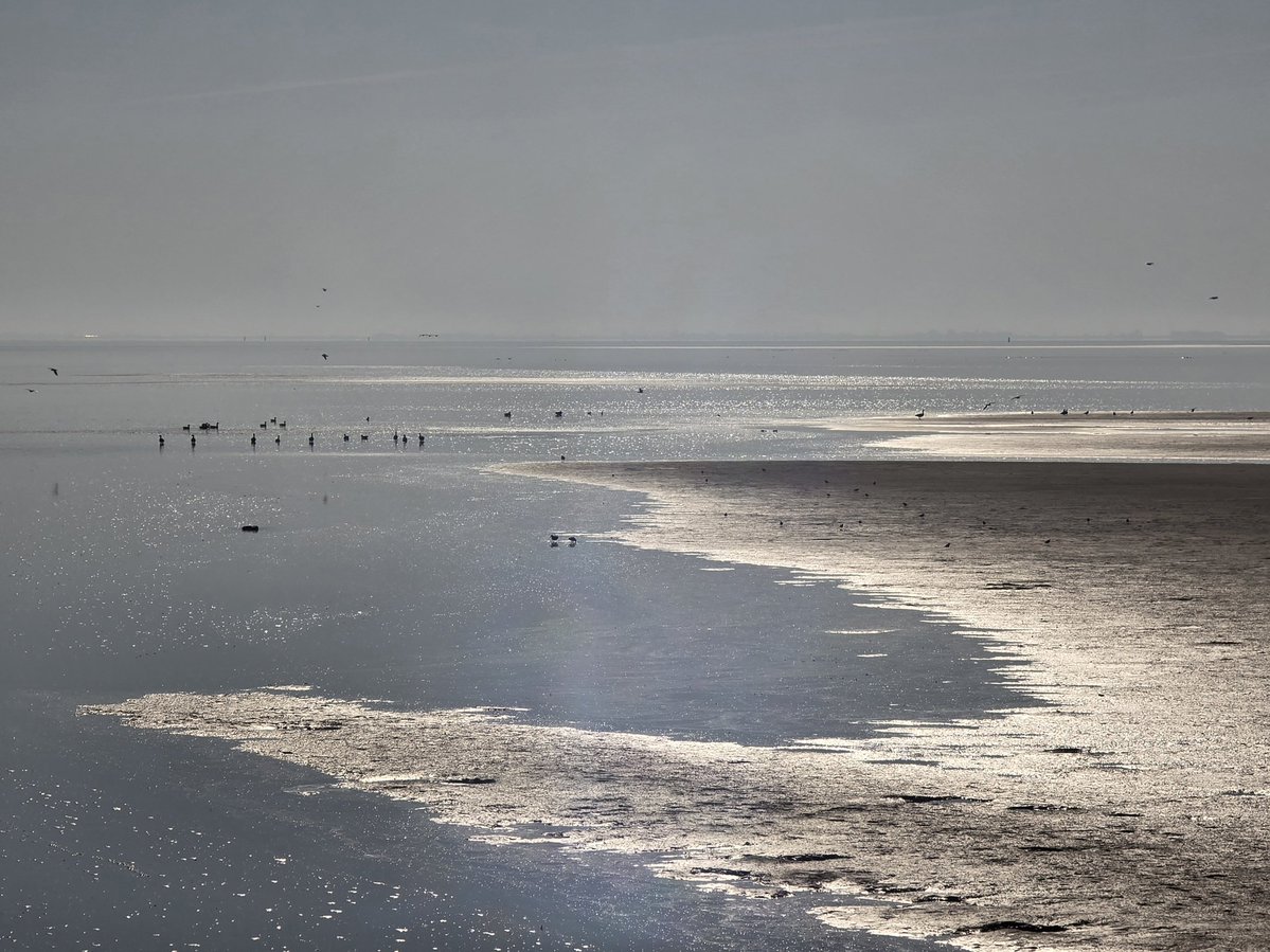 Simon Westerhof tweet media