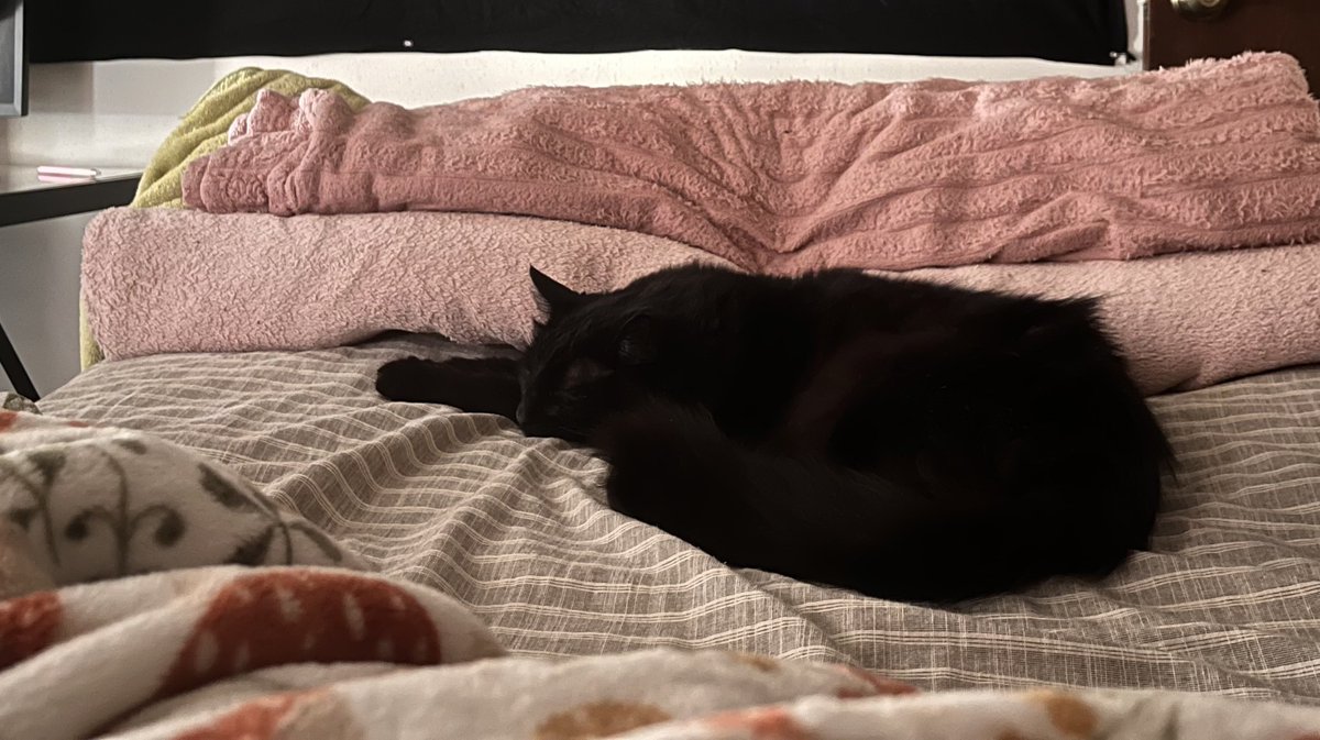 ket ᥫ᭡ tweet media