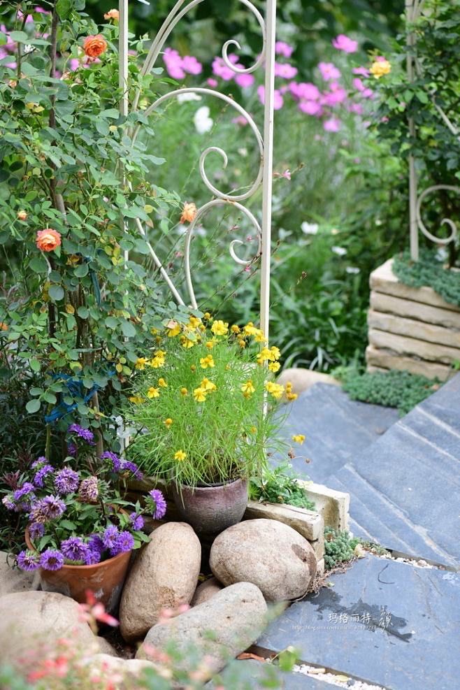 Veronica Zanetou tweet media