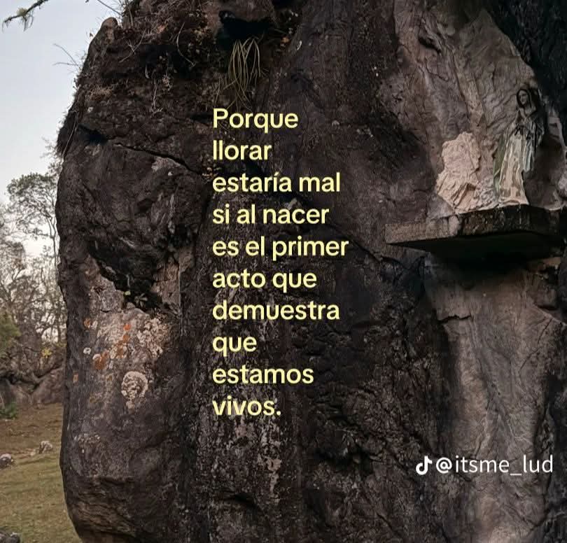 Sandoval tweet media