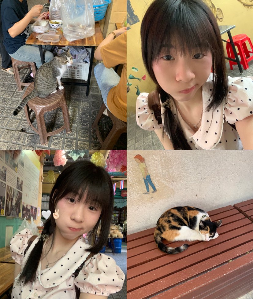 mimi𓇼🎧 (Late reply) tweet media