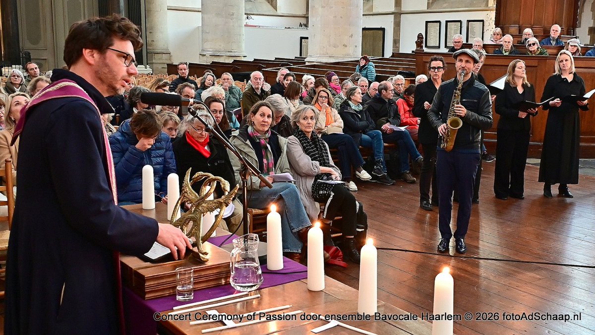 Haarlem updates tweet media