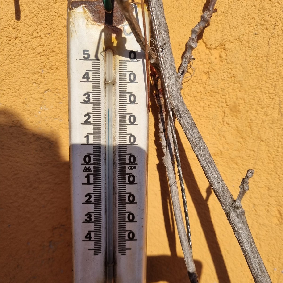 Frau Inge 🧶🐦‍🔥 tweet media