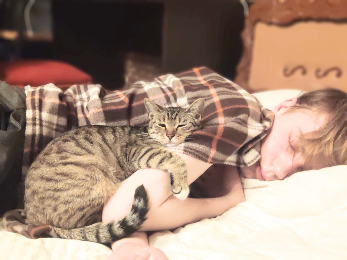 アルトゥル📛日本推しラトビア人 tweet media