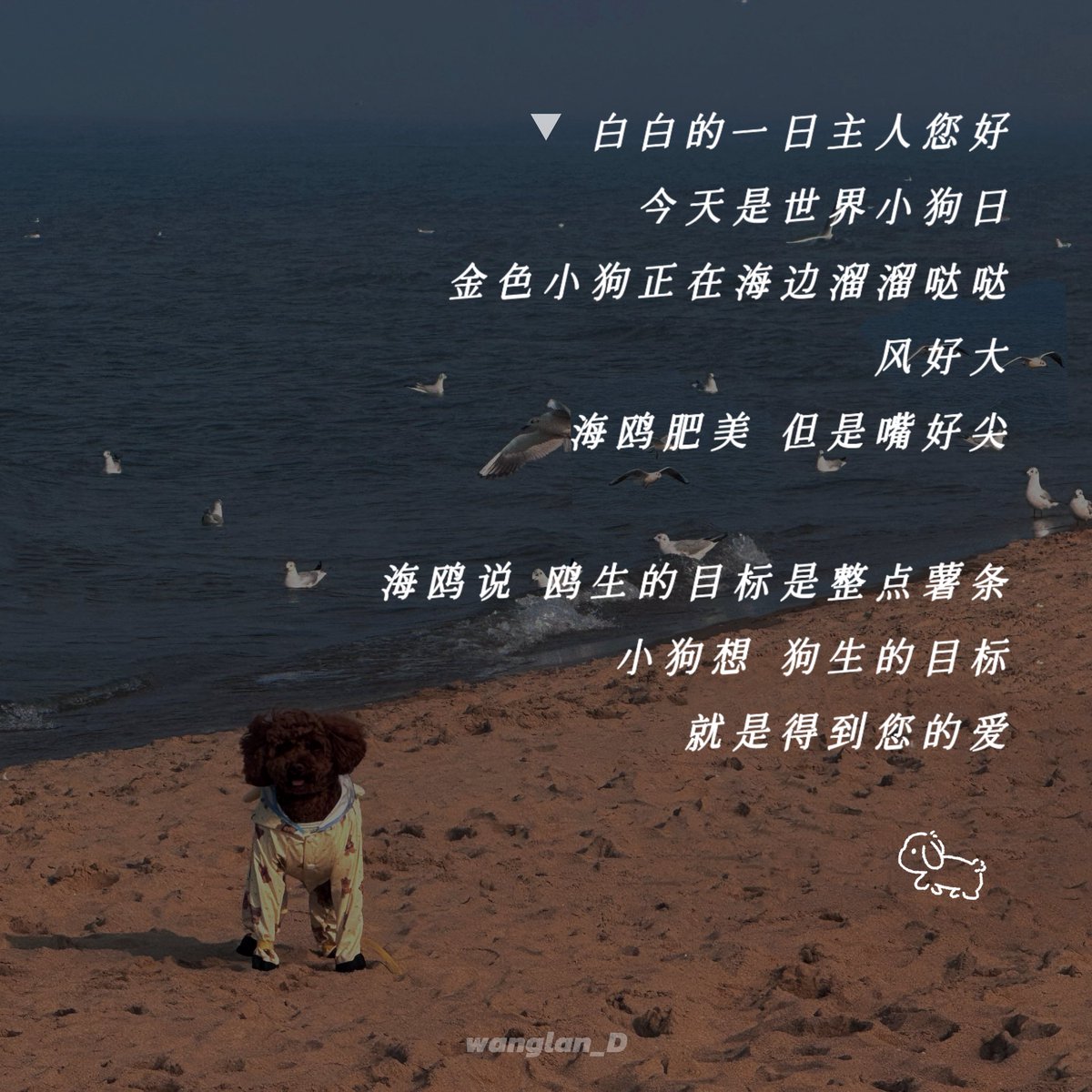 wanglan杜白白 tweet media