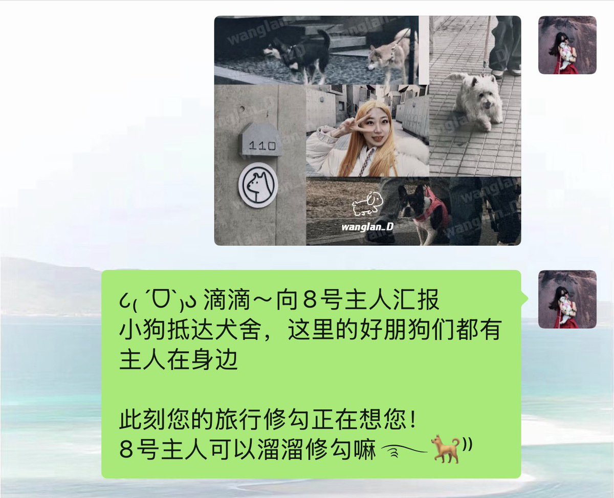 wanglan杜白白 tweet media