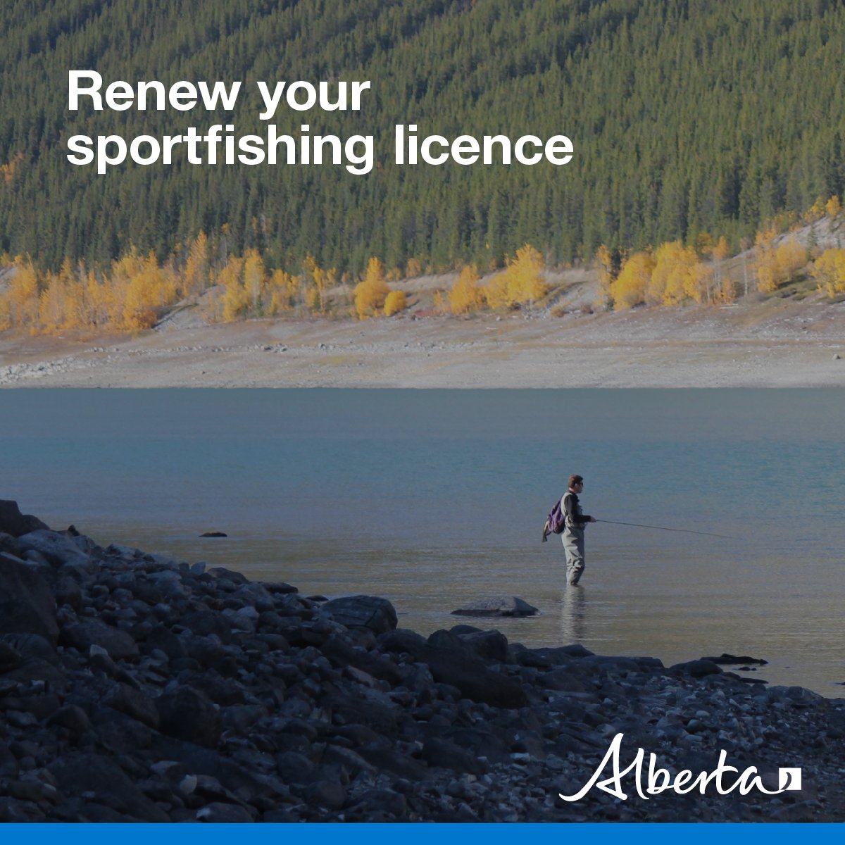 Alberta Fish and Wildlife Enforcement tweet media