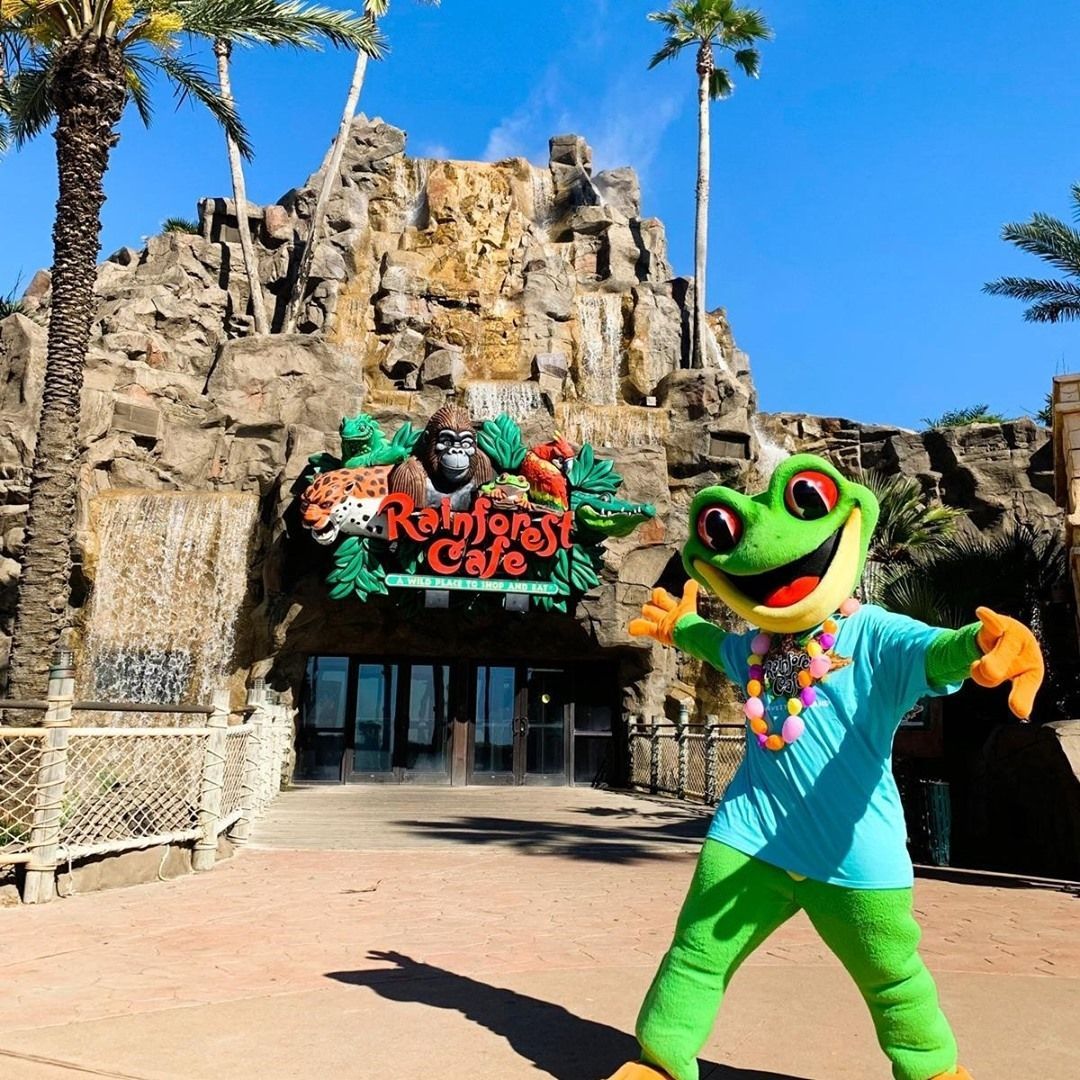 Rainforest Cafe tweet media