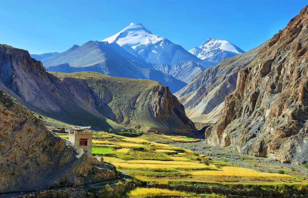 India Aesthetica tweet media