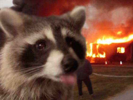 Steev (possibly sober) tweet media