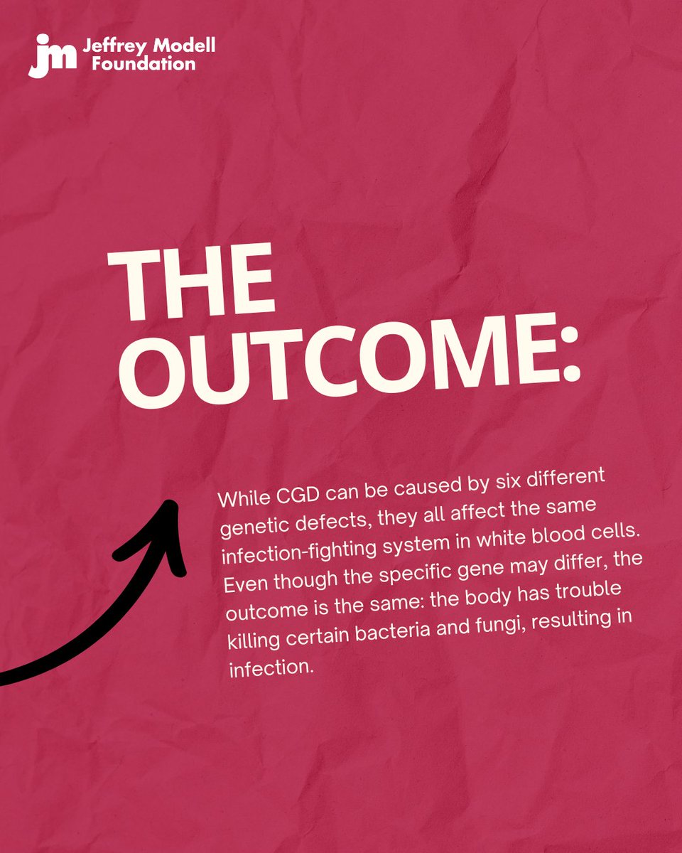 Jeffrey Modell Foundation (JMF) tweet media