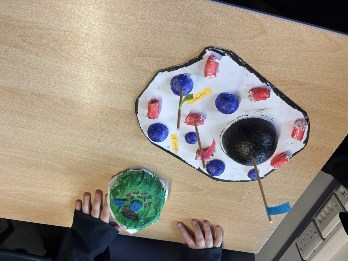 Mr Rannard tweet media