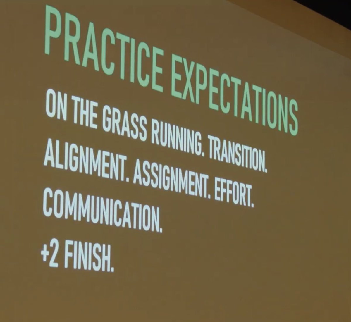 Danny Schaechter 🏝️🏈🐾 tweet media