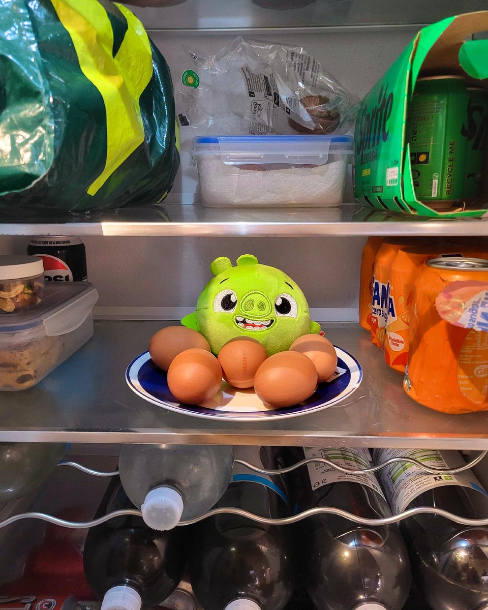 Two Point Museum 🦕💚 tweet media