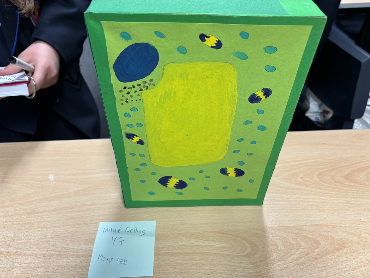 Mr Rannard tweet media