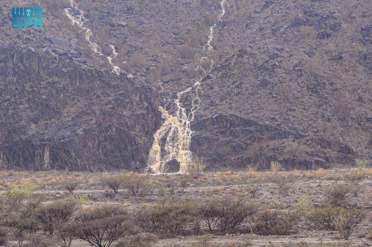 واس جودة الحياة tweet media