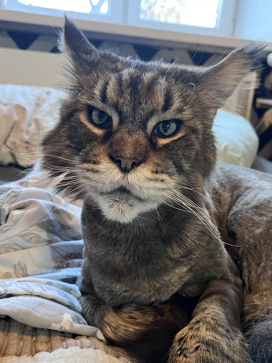 ИДИ НАХУЙ 2.0 tweet media