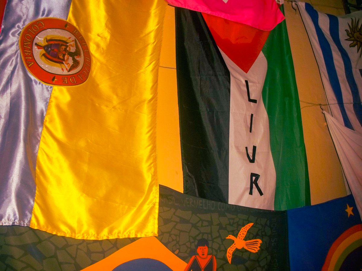 cão miúdo 🇵🇸 tweet media