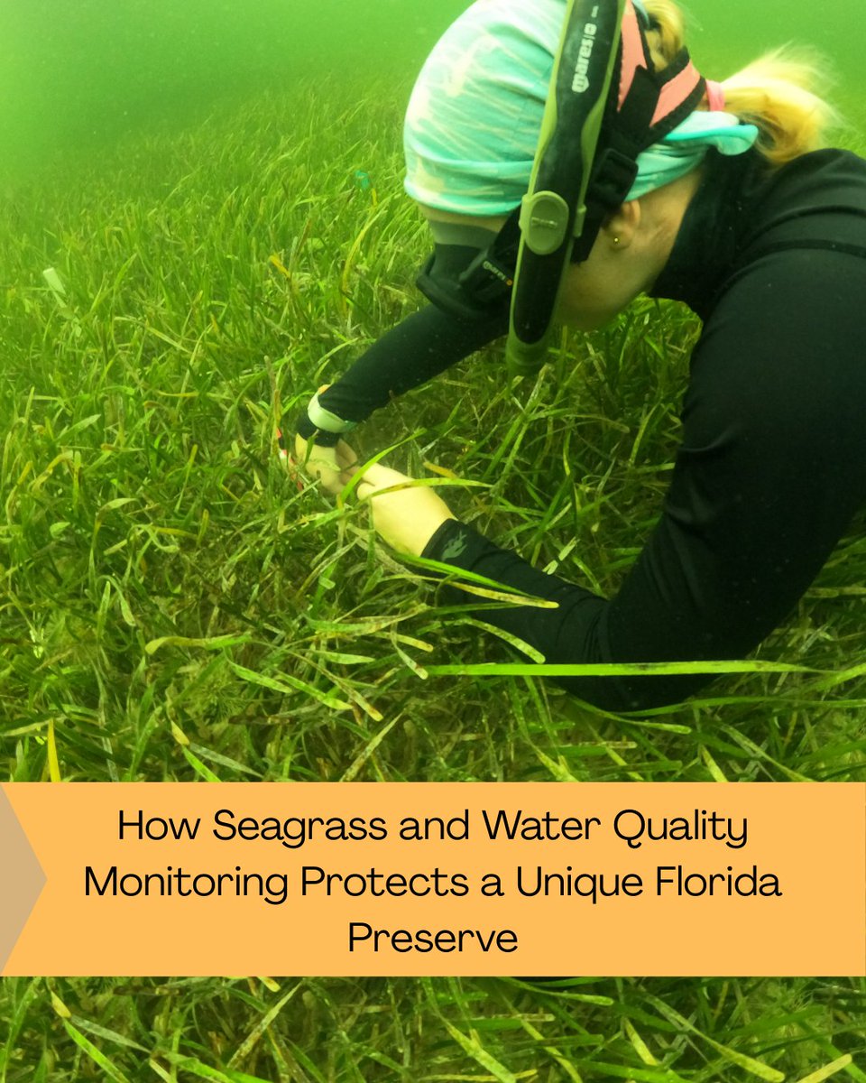 FishSens Magazine tweet media