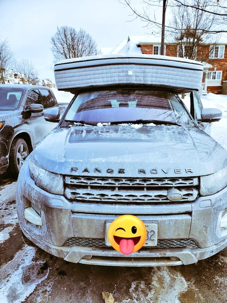 Millishield 01 🚘🌽🫑🌶🦈🐔 tweet media