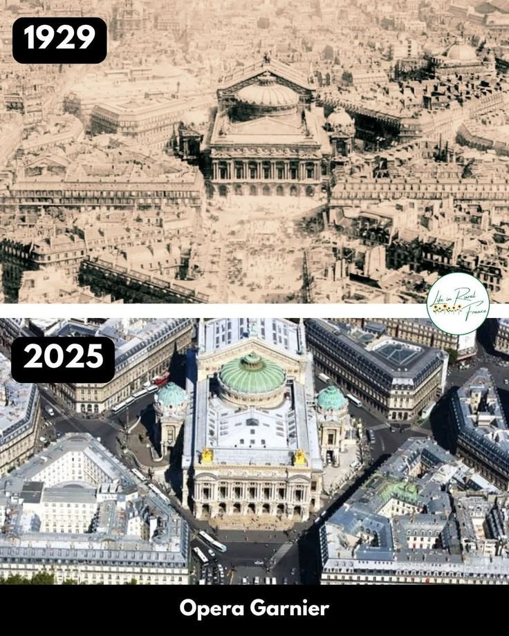 Film Diary tweet media