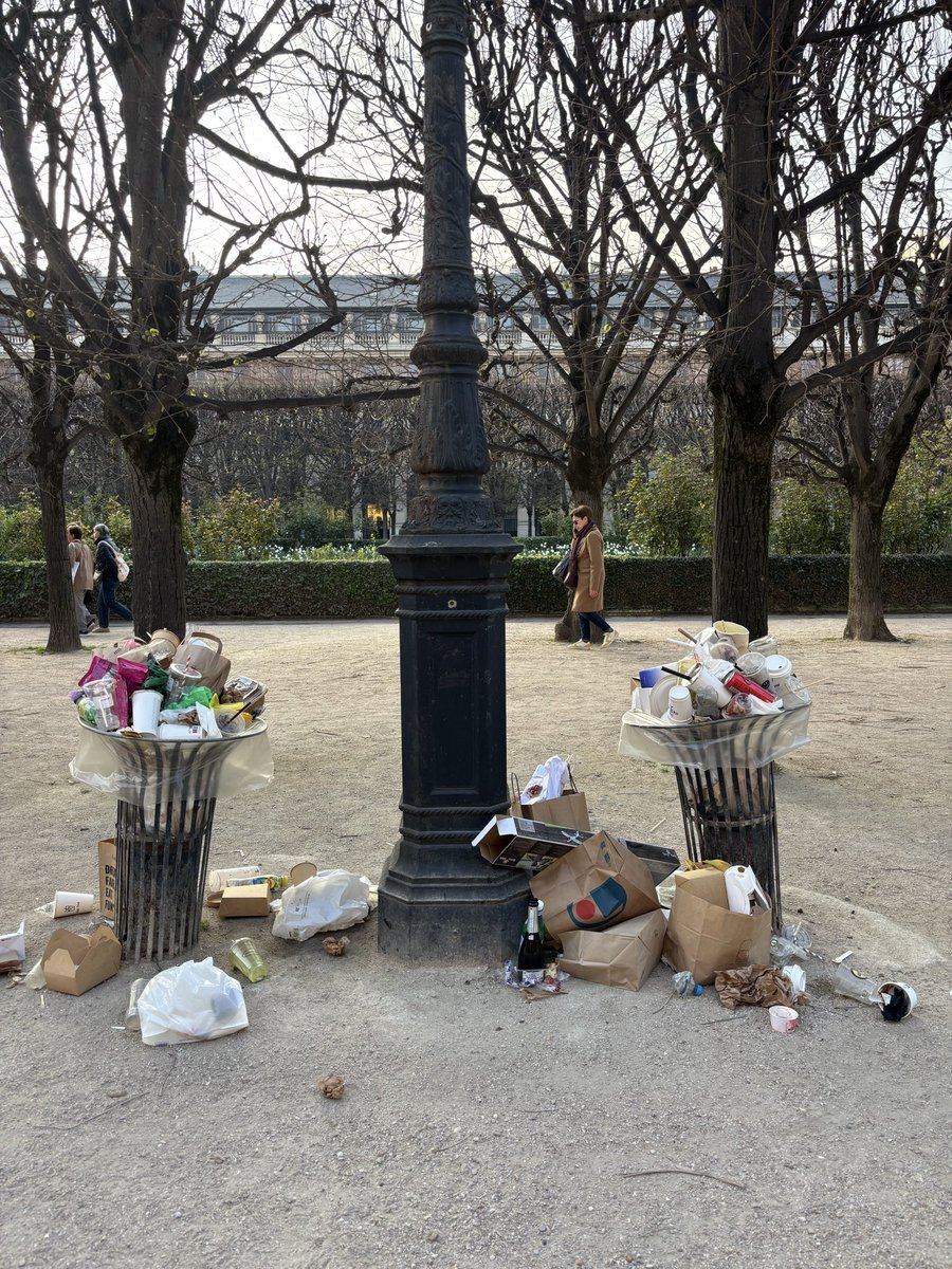 DidierLerer's tweet photo. @p01ds on peut même suivre la progression … voici où on en était dans les jardins du Palais Royal à J-1 🥺
@ChaRocher https://t.co/mL4Q9YC2Nl
