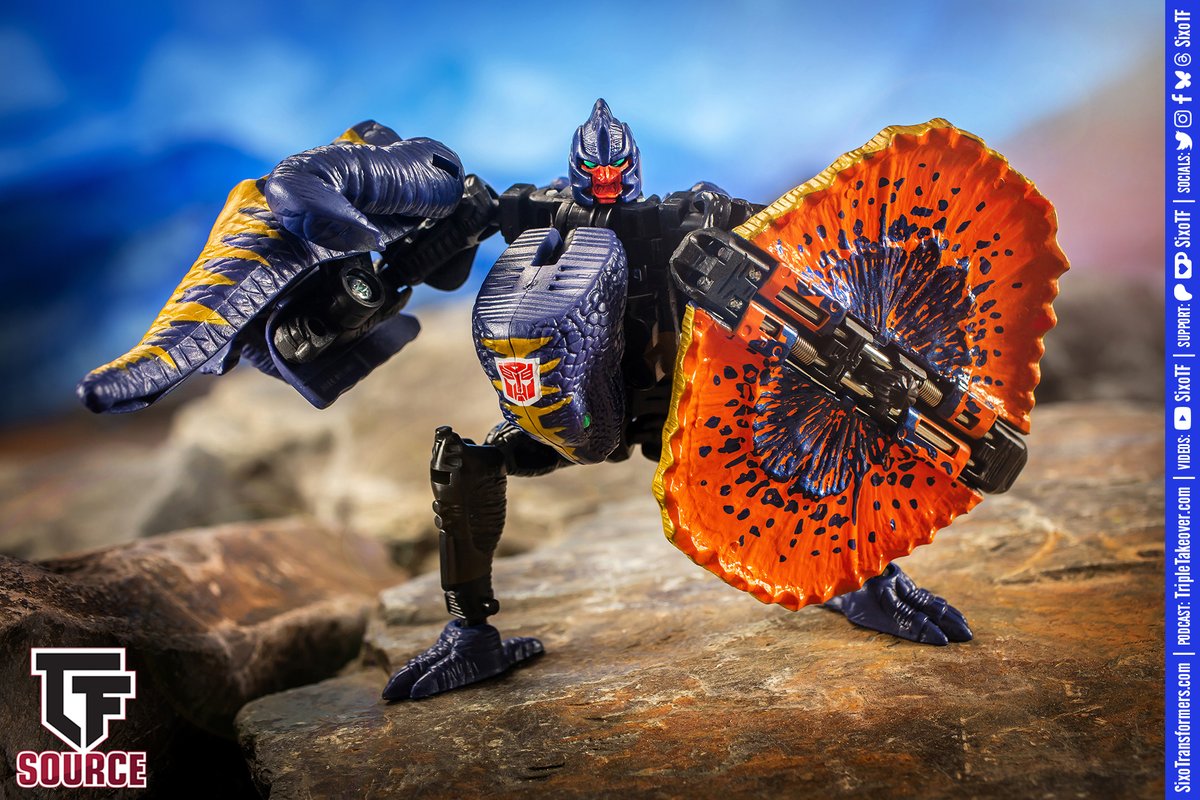 TFsource - Toy Store tweet media