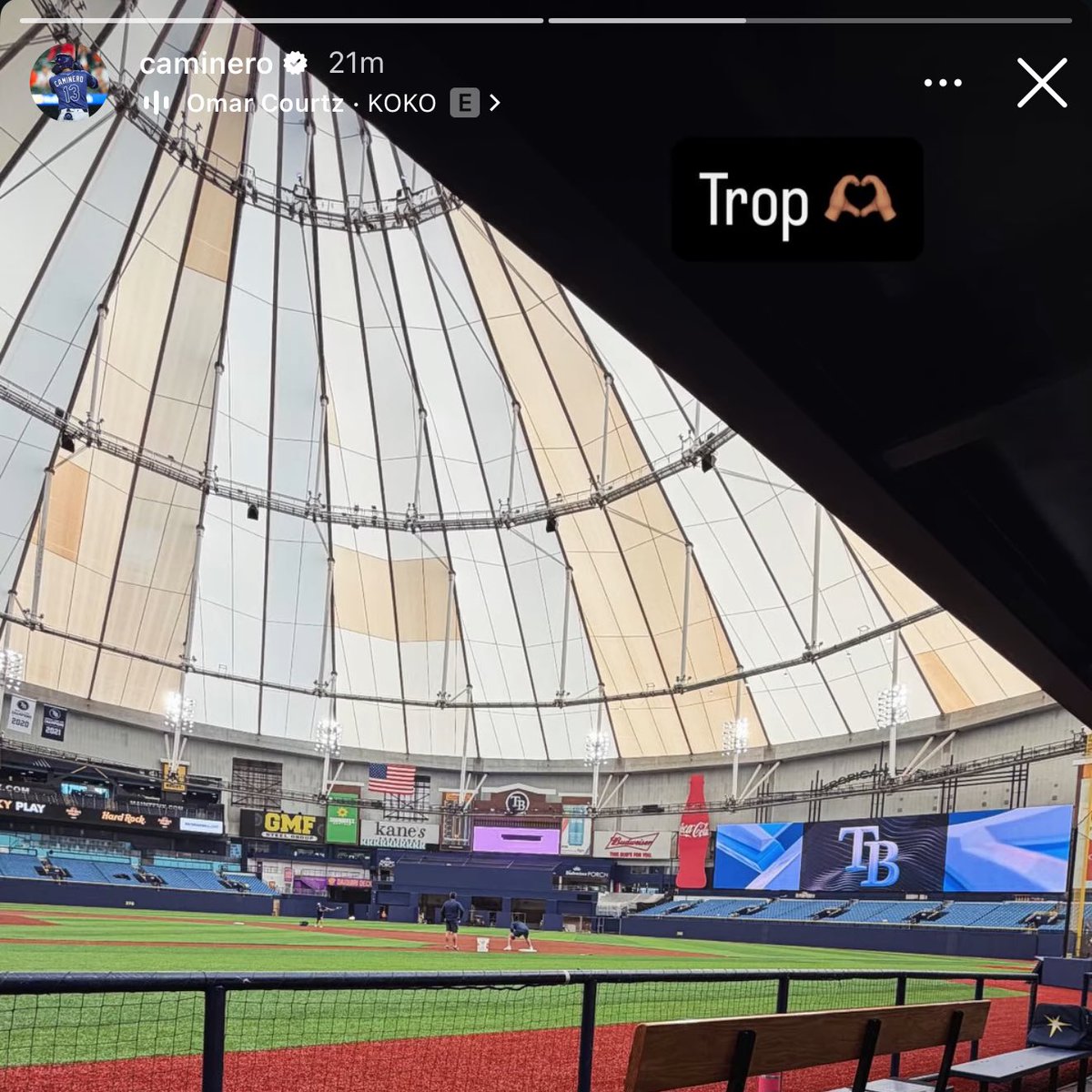 Tampa Bay Tay tweet media