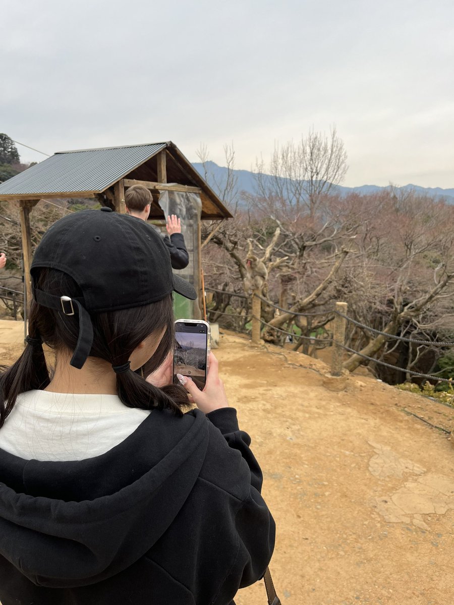 akkooon_'s tweet photo. 彼女と京都旅行🫶 https://t.co/ePyiwFeSh8