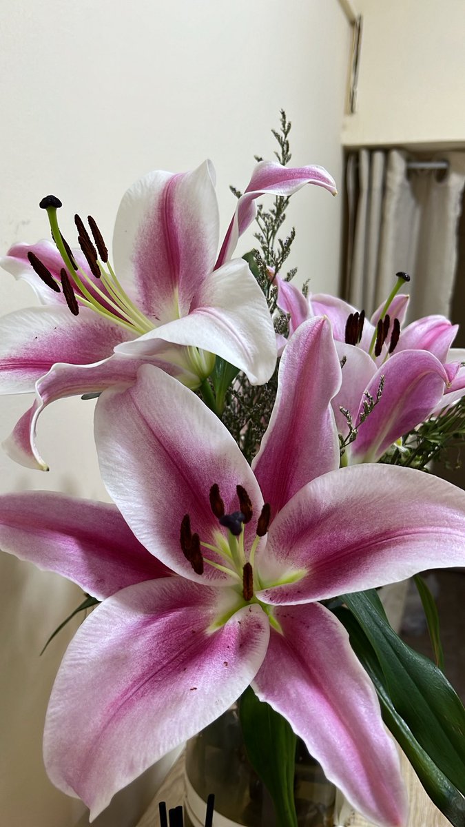 A. Matteo tweet media