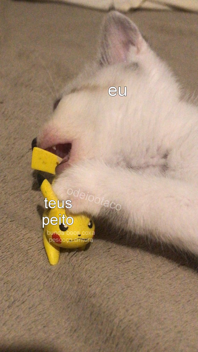 ٠࣪⭑ 𝑪𝒂𝒍𝒆𝒍 ☆.ᐟ tweet media