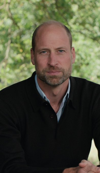 Canellecitadelle tweet media