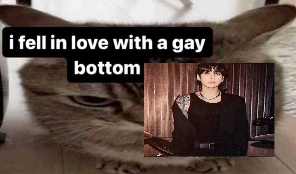 dr dykelicious tweet media