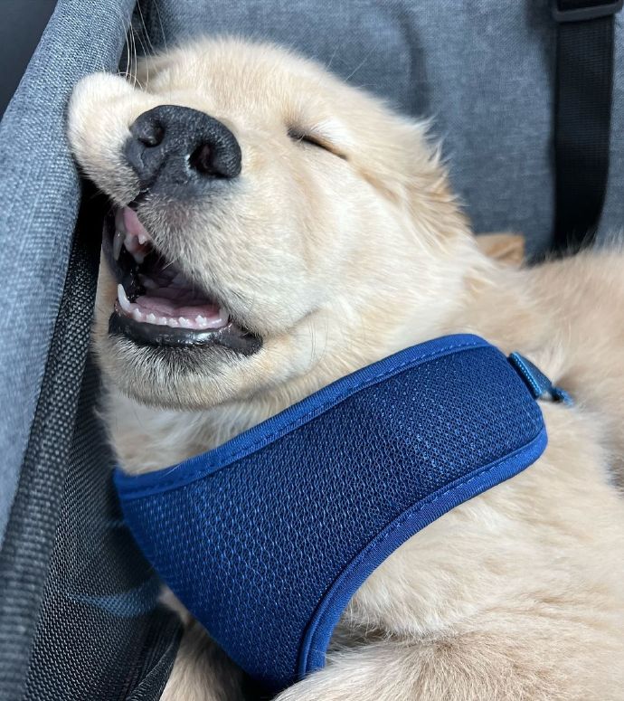 Natalie Guthrie tweet media