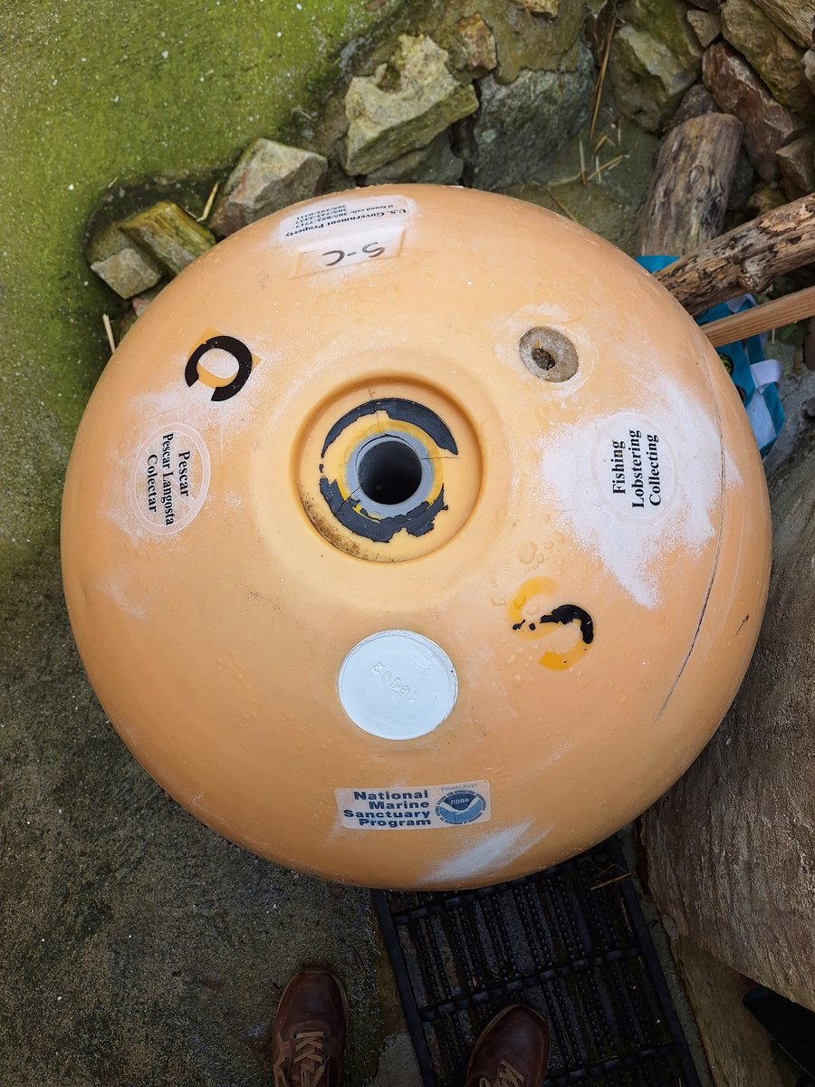 NOAA Florida Keys NMS tweet media