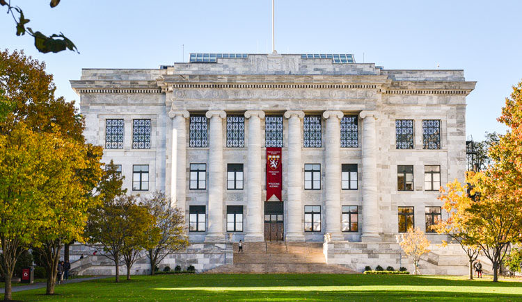 Muhi Dervis tweet media