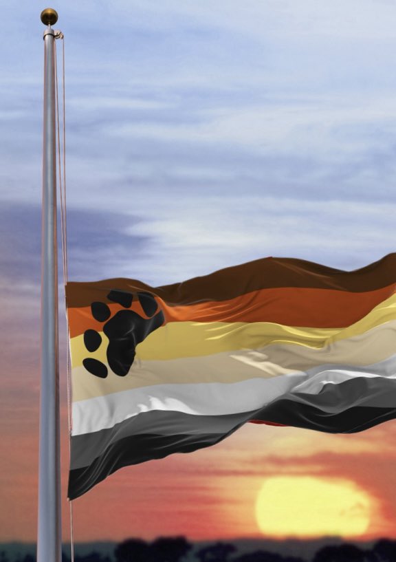 la osa mayor tweet media