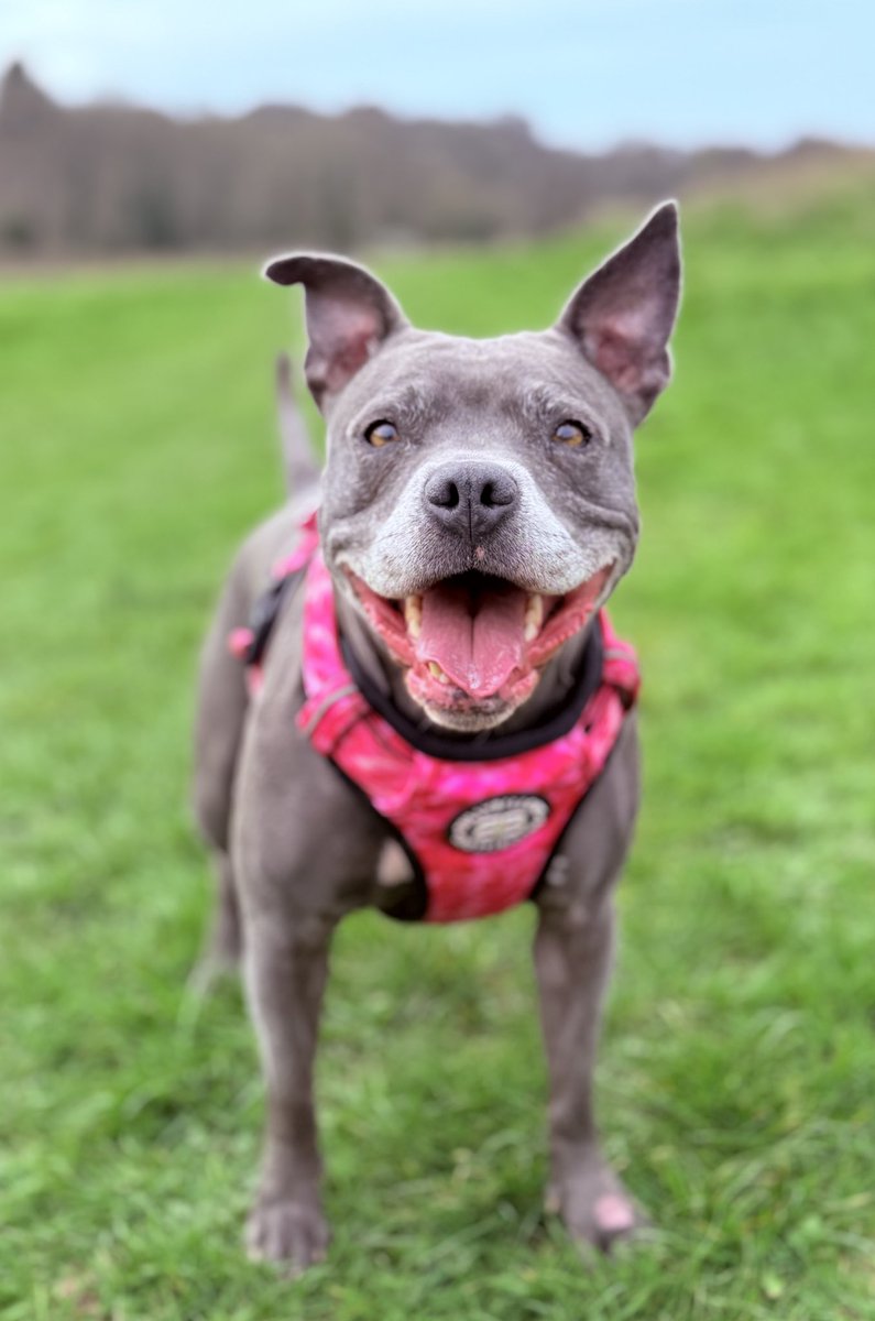 Isa Mary tweet media