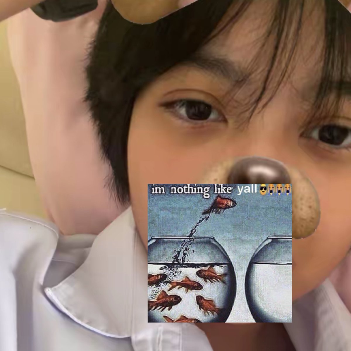 zaki 🪲 tweet media