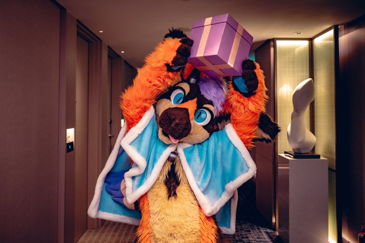 丹波( Dumbo ) & 秋葵( Fallkui ) 🔜2026？ tweet media