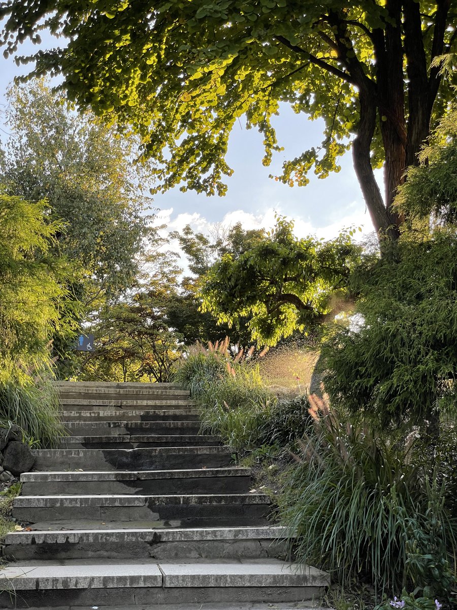 🐱💔 tweet media