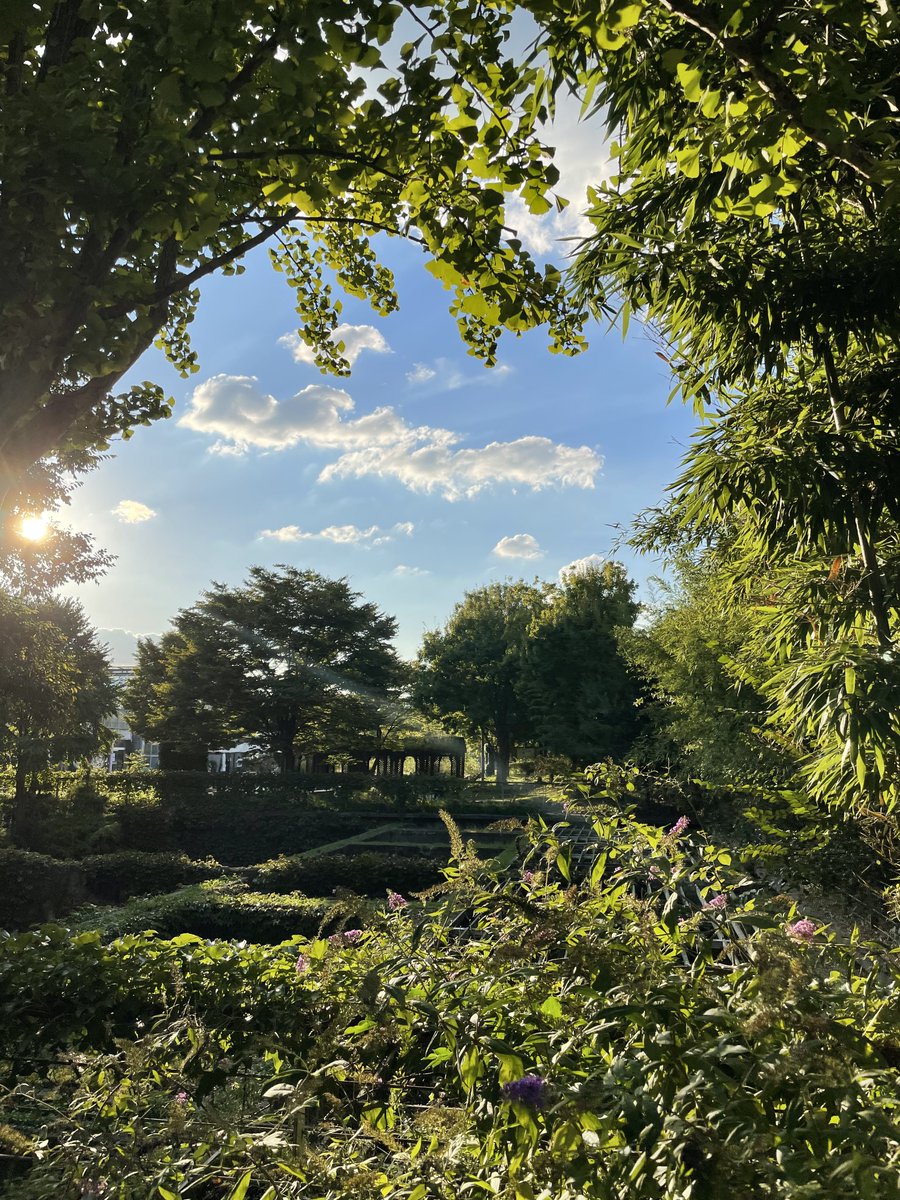 🐱💔 tweet media