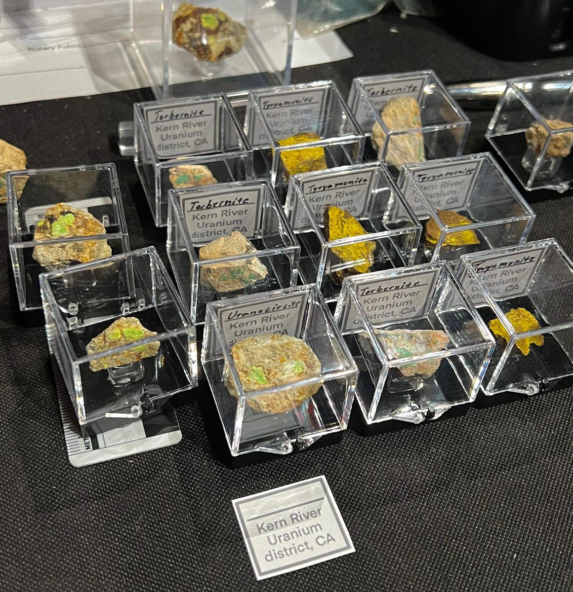 Radioactive Red tweet media