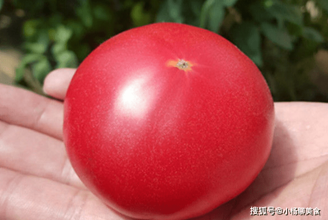 Melissa Button tweet media