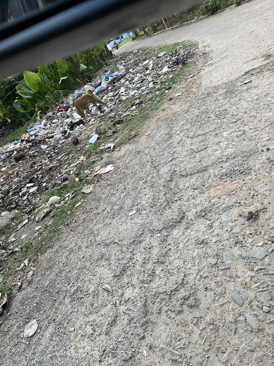 ashitraj_dd85's tweet photo. @SAILsteel Rourkela Government Quarters area all litter no Dustbin no picking up of Garbage @smartcityrkl @RourkelaMC “Smart City” @SwachhBharatGov https://t.co/yg1S8Sgmpo