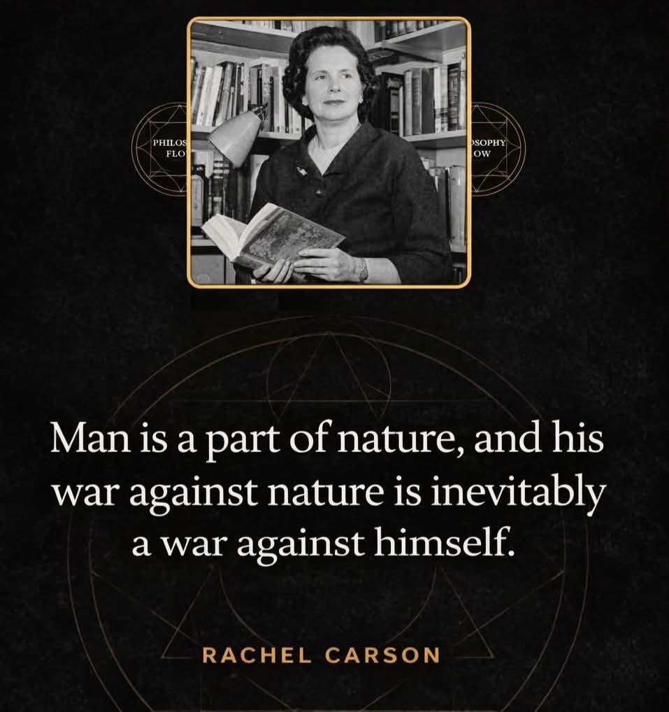 dominic dyer tweet media